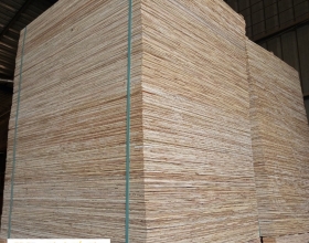 VÁN ÉP TẠI CẦN GIỜ HCM