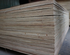 PALLET VÁN ÉP TẠI CỤM CN THANH XUÂN 2 TÂY NINH